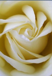 living-islam-secret-garden