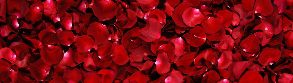 taking-meaning-distilling-the-essence