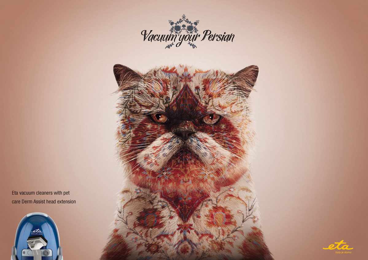 cool-ads-cat