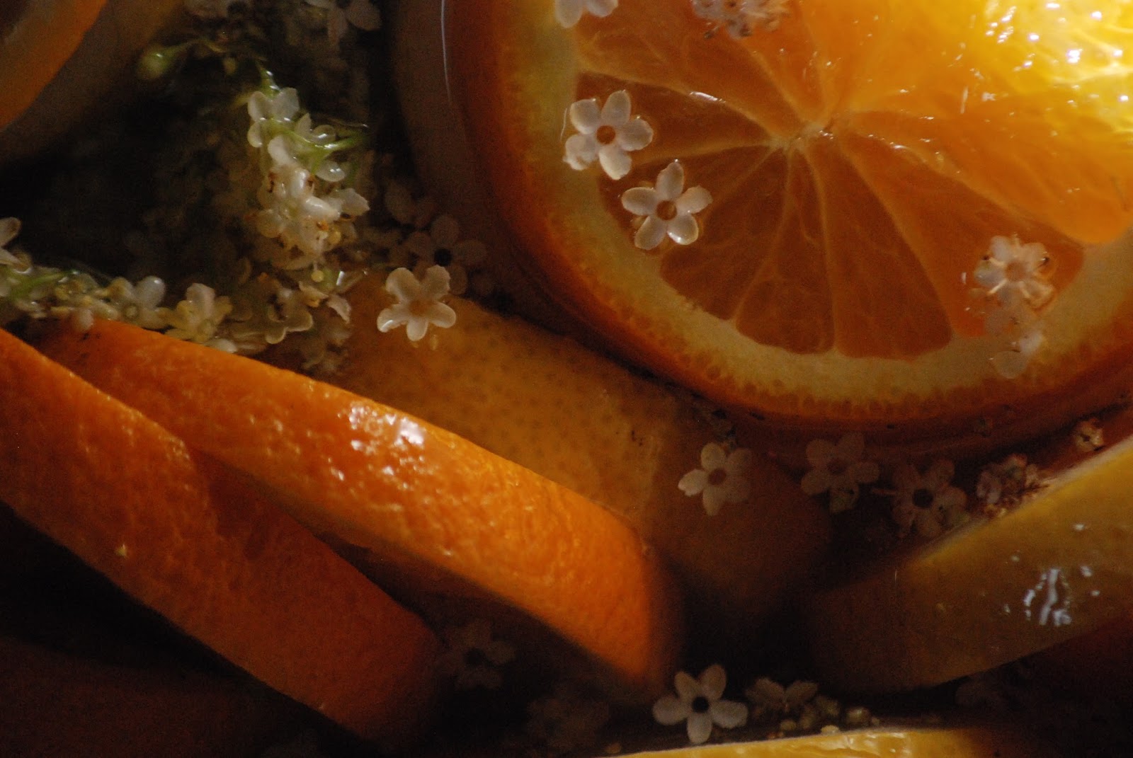 pantun-syaikh-husain-asy-syadhili-translation-challenge