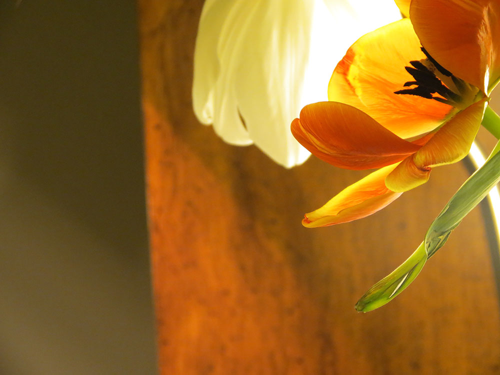 inspiration-plus-angle